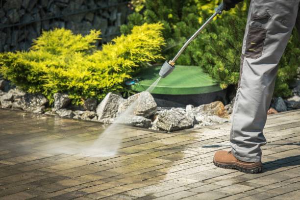 Best Solar Panel Cleaning  in Lakeport, CA